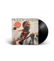 https://www.dev.matiasbuenosdias.com/2080-large_default/muddy-waters-rb-hits.jpg